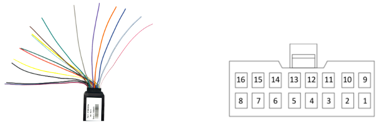 XT25 Input Colors and placement.png